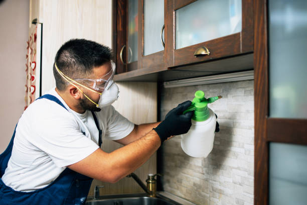 Trusted Brocton, NY Pest Control Experts