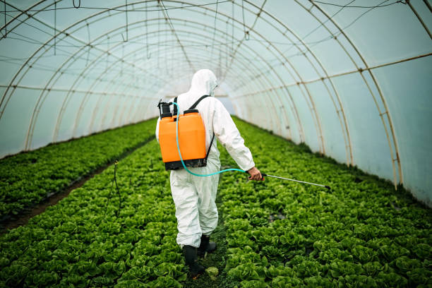 Best Exterminator Services  in Brocton, NY