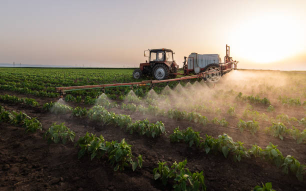 Best Best Pest Control Companies  in Brocton, NY