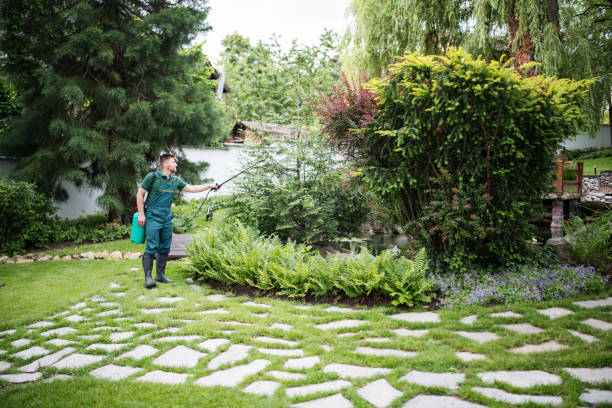 Best Commercial Pest Control Services  in Brocton, NY