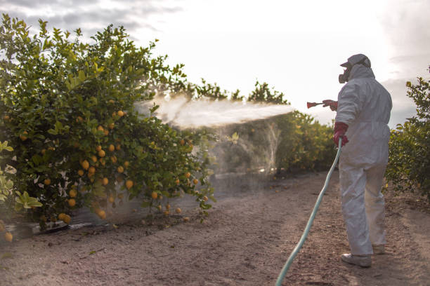 Best Pest Control Near Me  in Brocton, NY