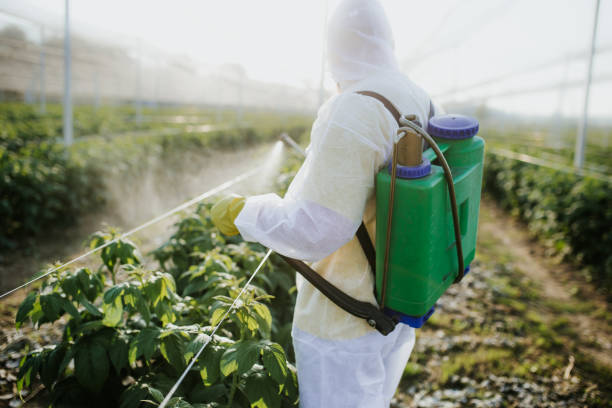 Best Flea Control Services  in Brocton, NY
